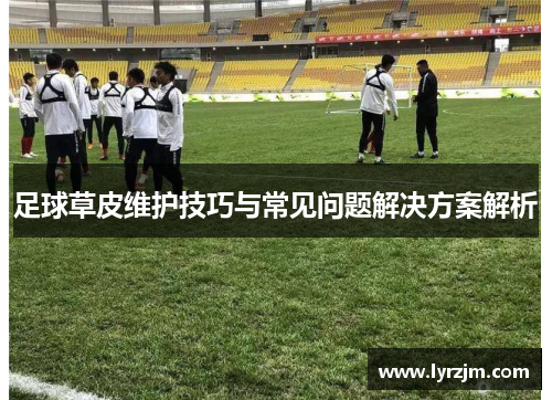 足球草皮维护技巧与常见问题解决方案解析