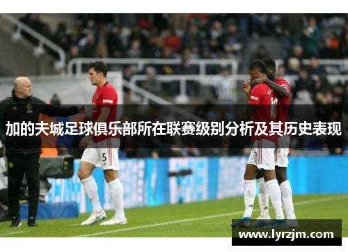 加的夫城足球俱乐部所在联赛级别分析及其历史表现